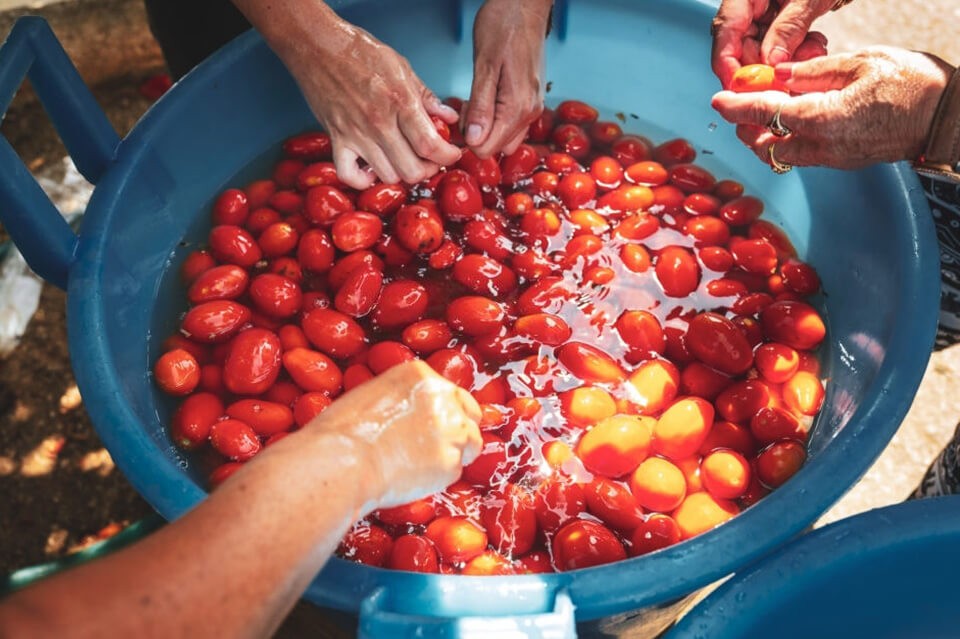 Making Tomato Puree: A Summer Ritual Etched in My Memory