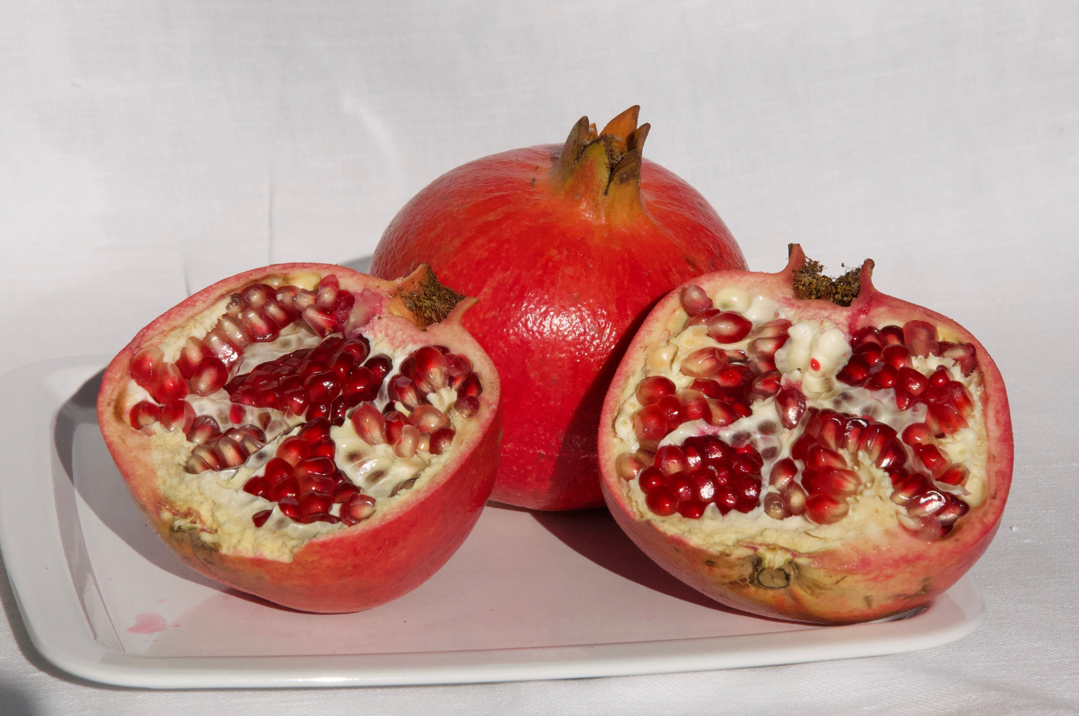 Remembering November: Life along Cemetery Avenue.