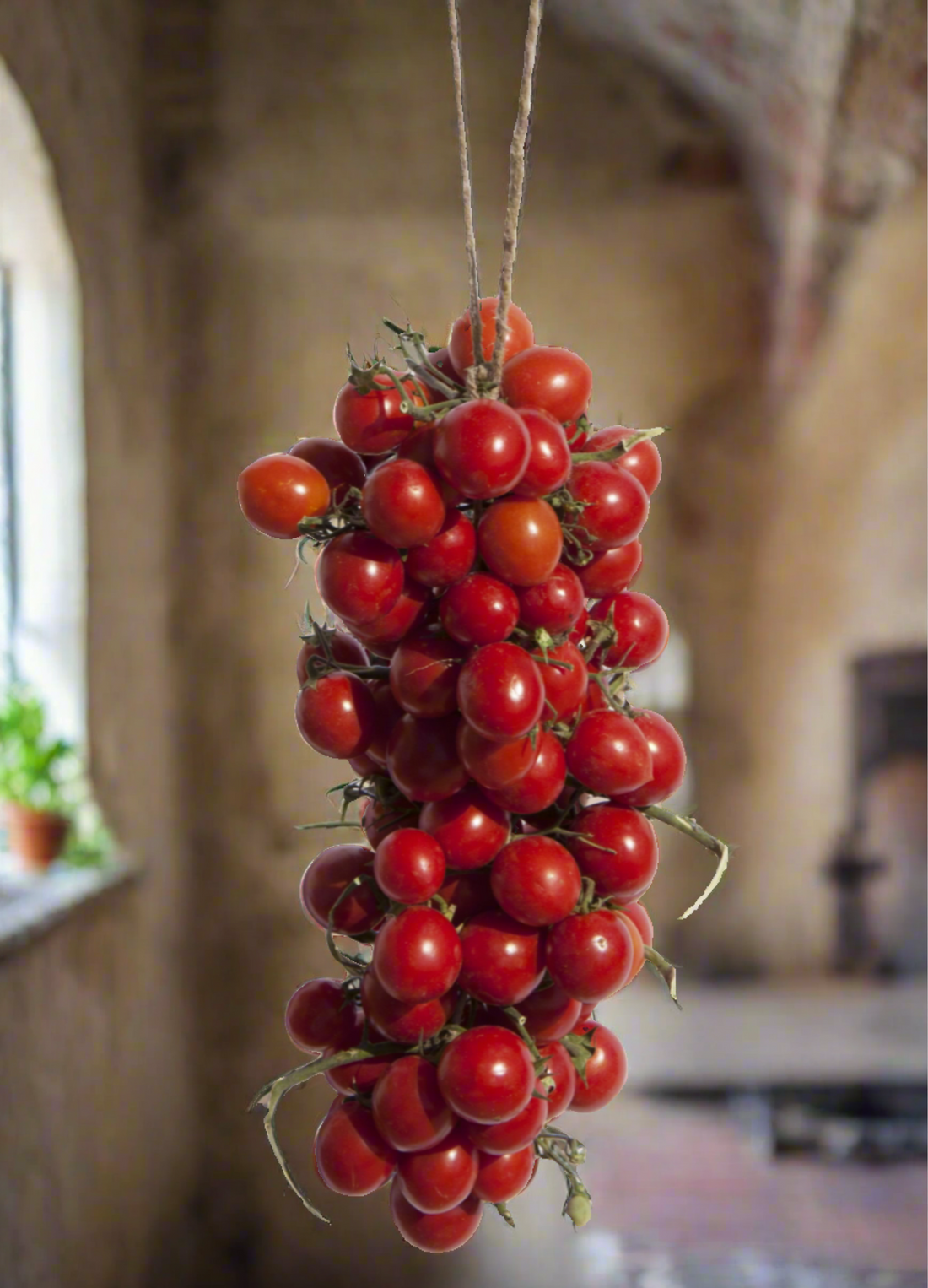 The "Cocchia" (bunches of tomatoes hung up)